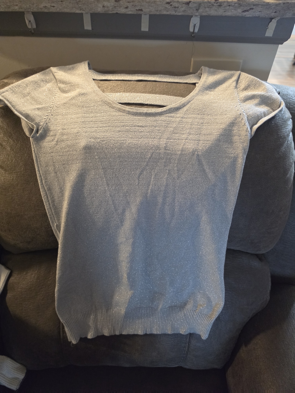 Deb Shimmer Short Sleeve Sweater Top in Light Silver